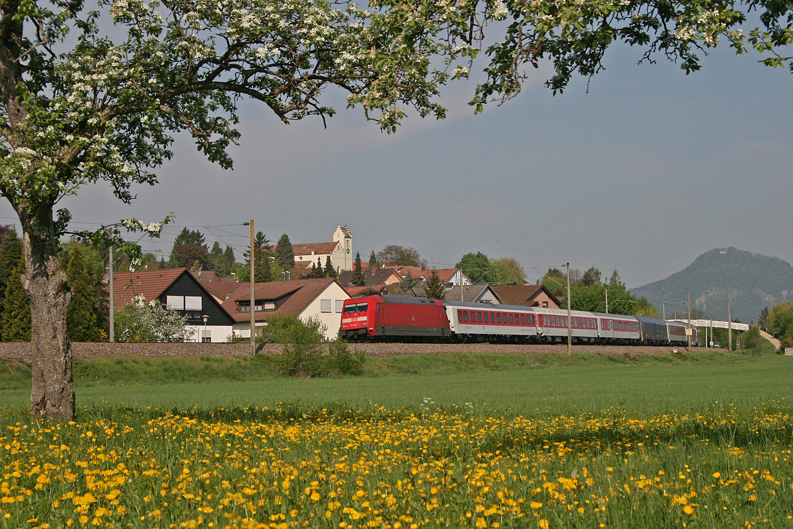 Natürlicher Rahmen