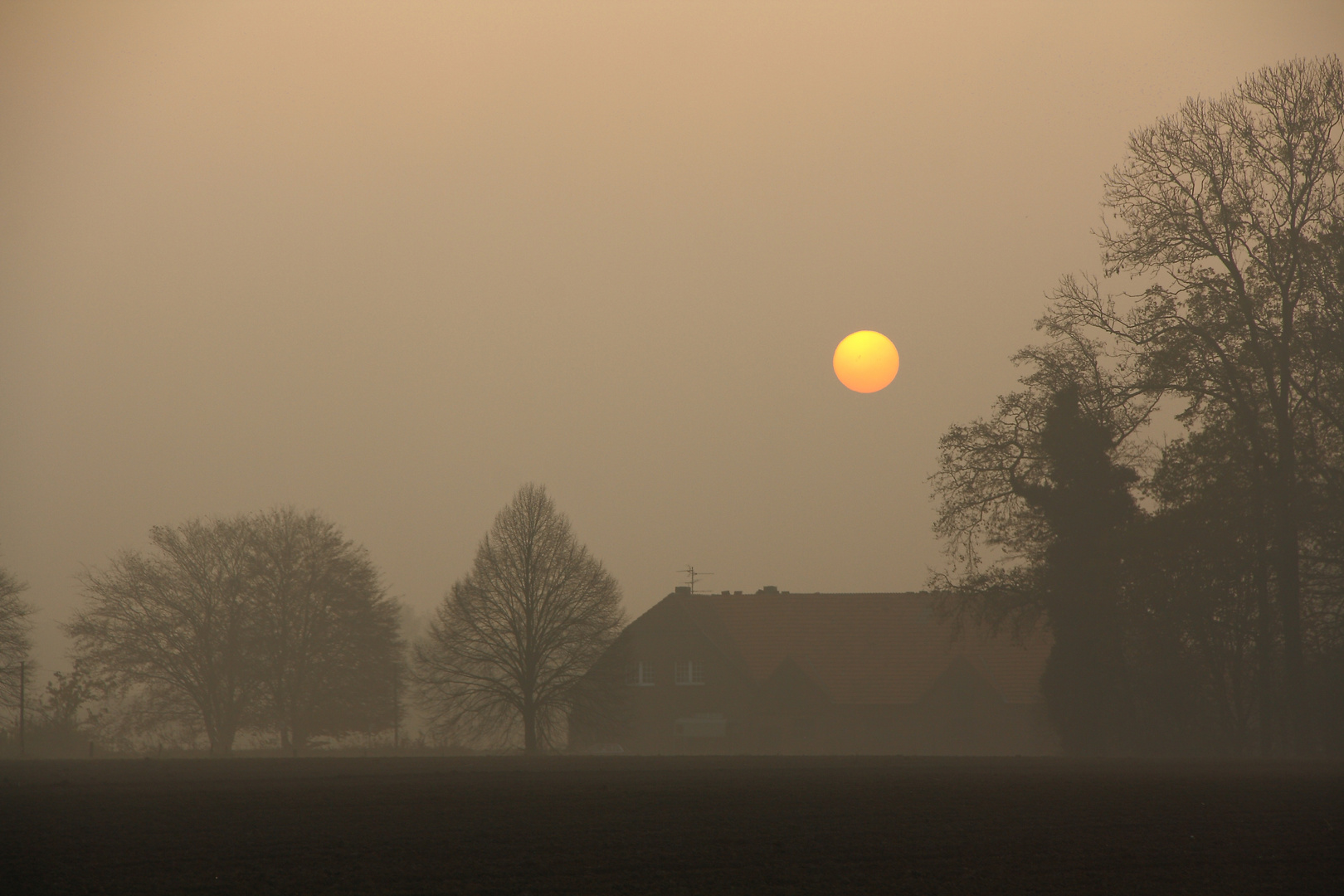 Natürlicher Sonnenfilter