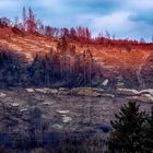 Natürlicher Waldbrand