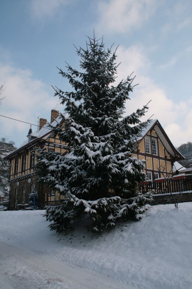 Natürlicher Weihnachtsschmuck: Schnee