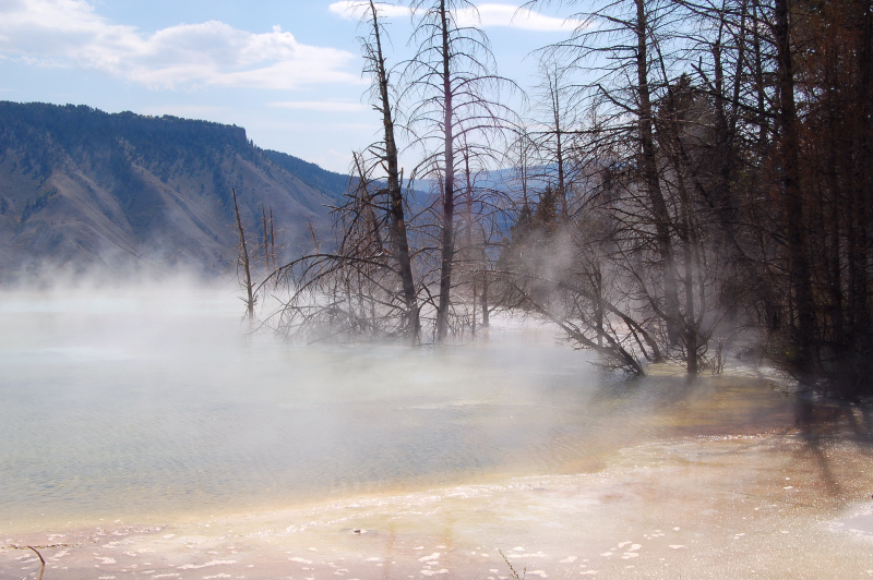 Natürlicher Whirlpool im Yellowstone NP