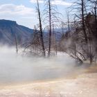 Natürlicher Whirlpool im Yellowstone NP