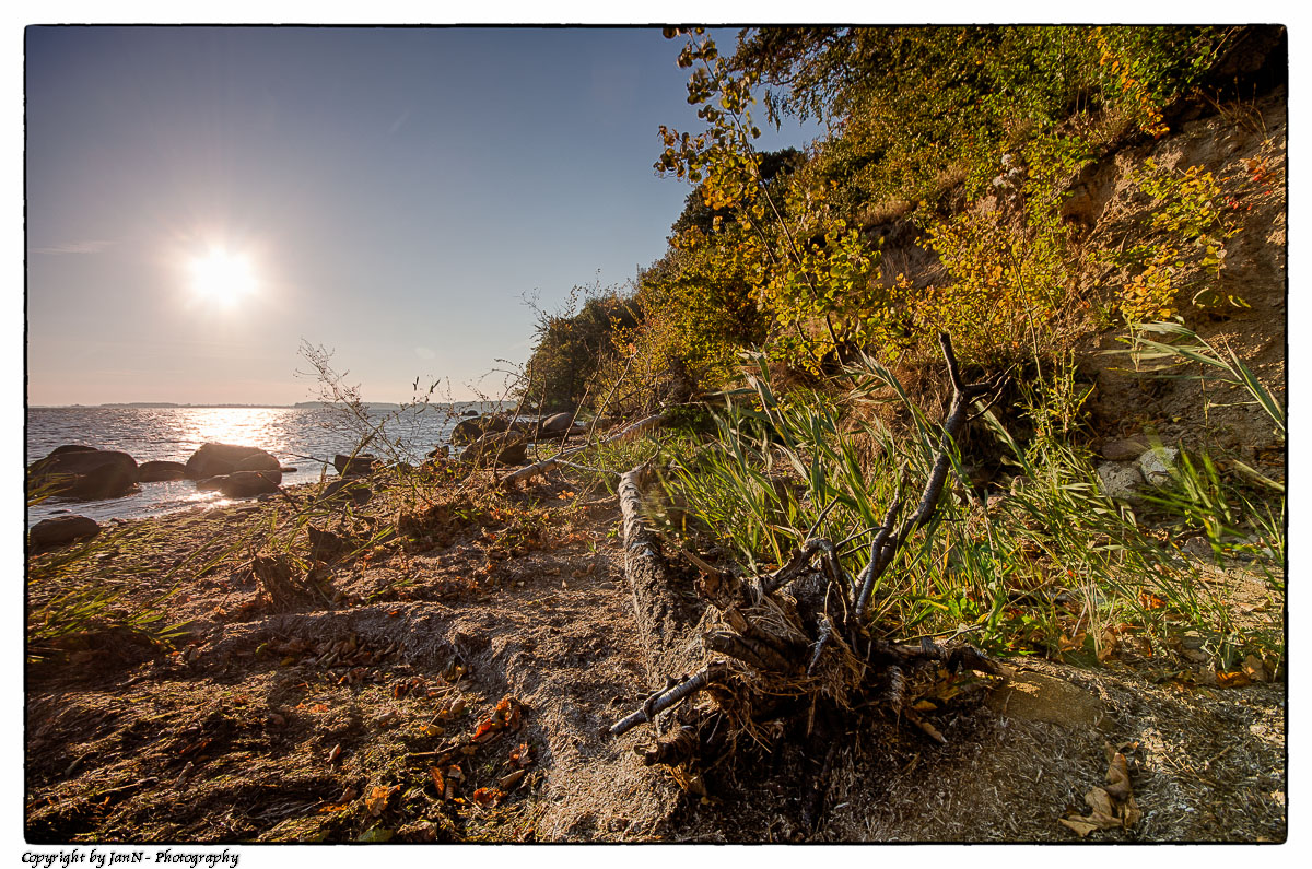 Natürliches Chaos - Rügen 2013