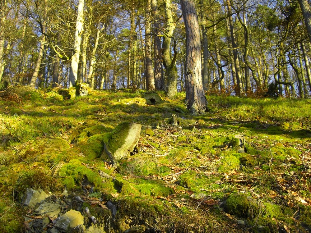 Natürliches Grün