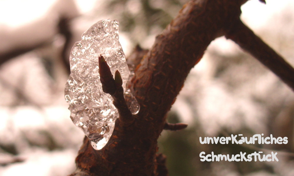 natürliches Schmuckstück vom Meister Frost