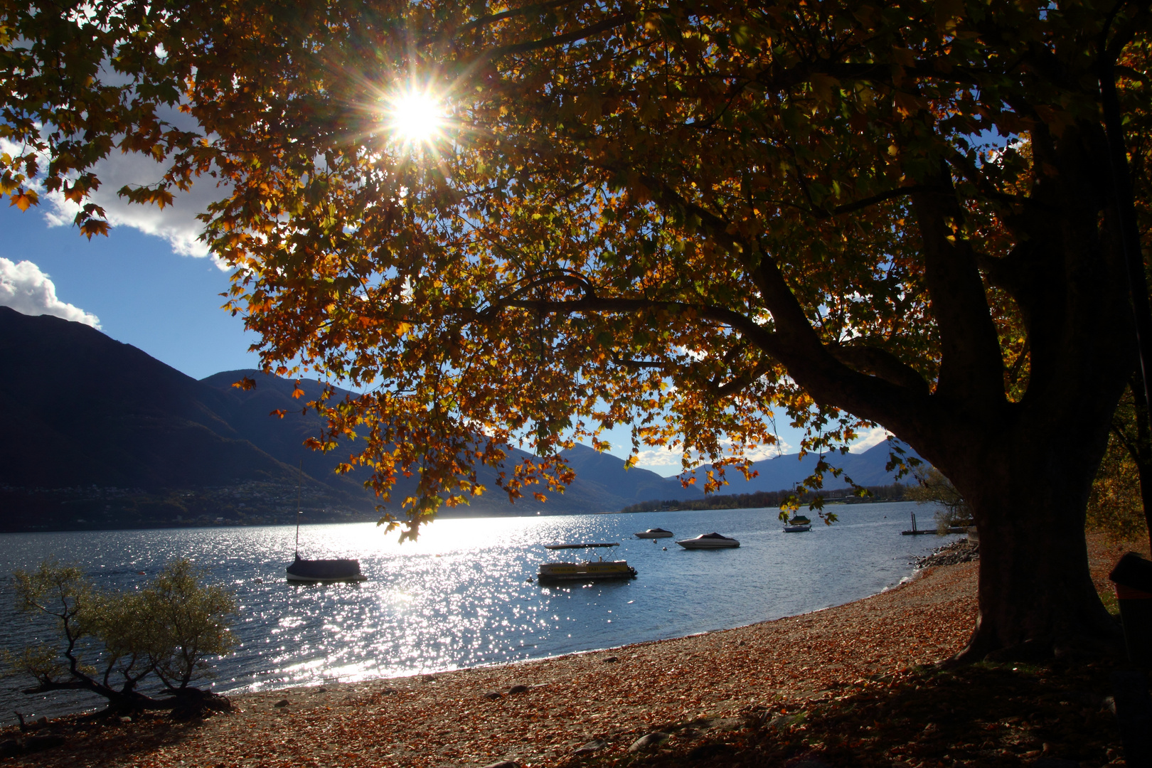 natürliches See-Ufer