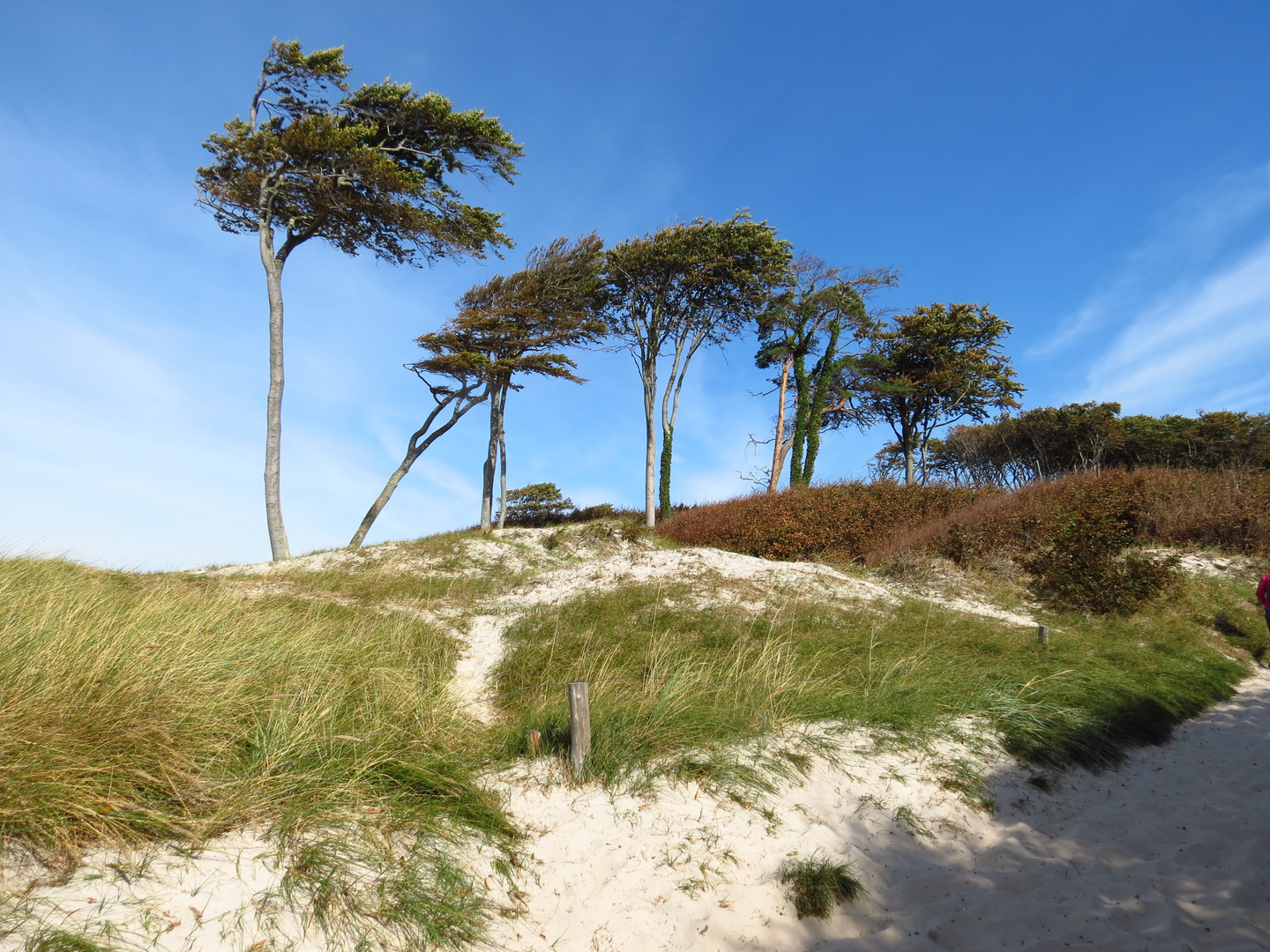 Natürlich,Weststrand !