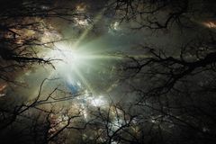 Natur