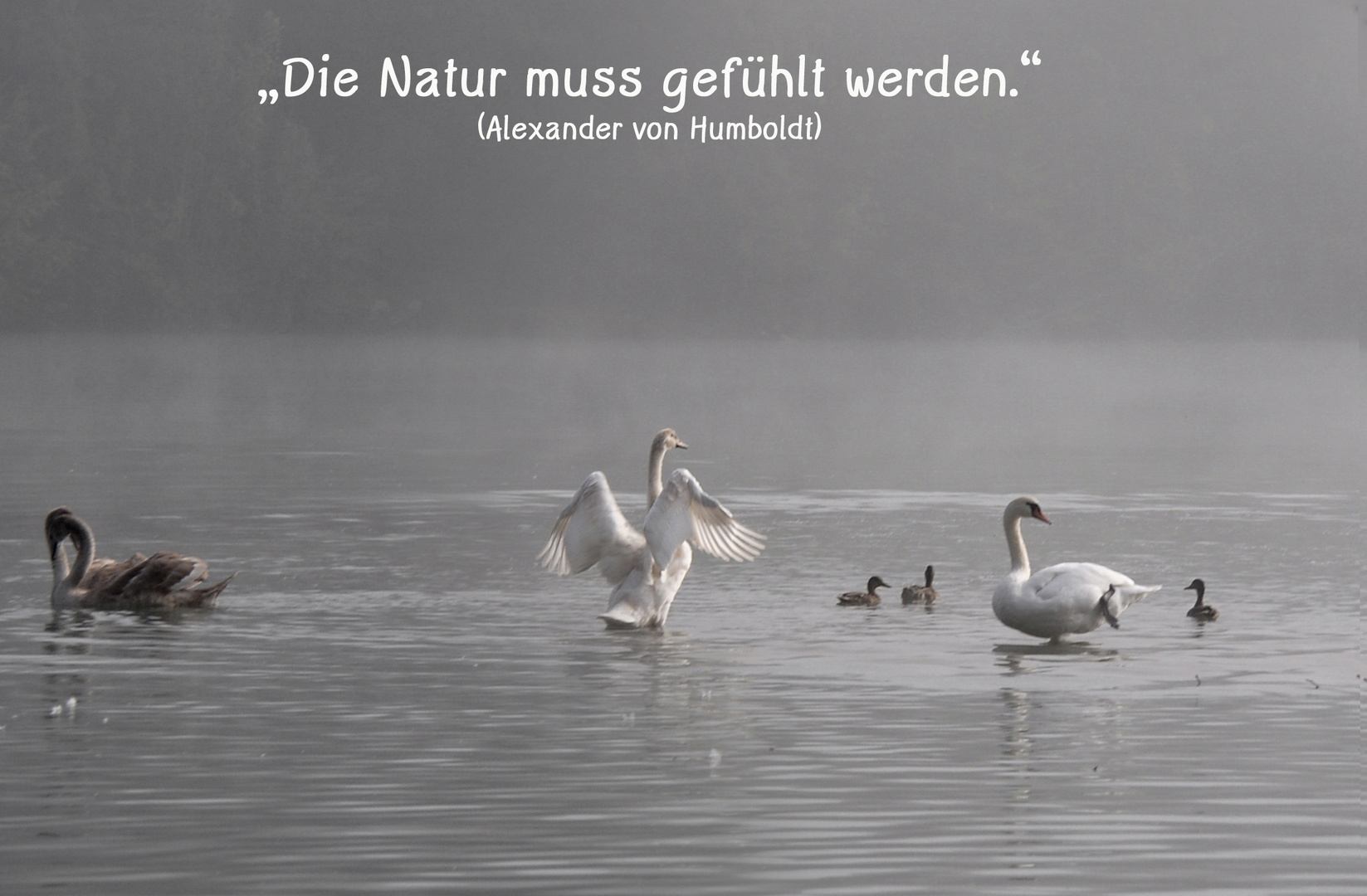 Natur 11 Foto & Bild natur, spruch, rebekka d. Bilder auf
