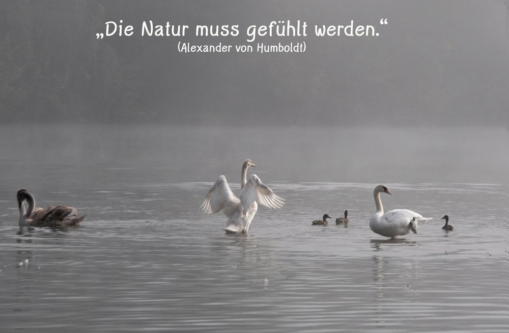 Natur 11 Foto & Bild natur, spruch, rebekka d. Bilder auf