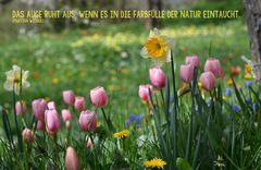 Natur 12