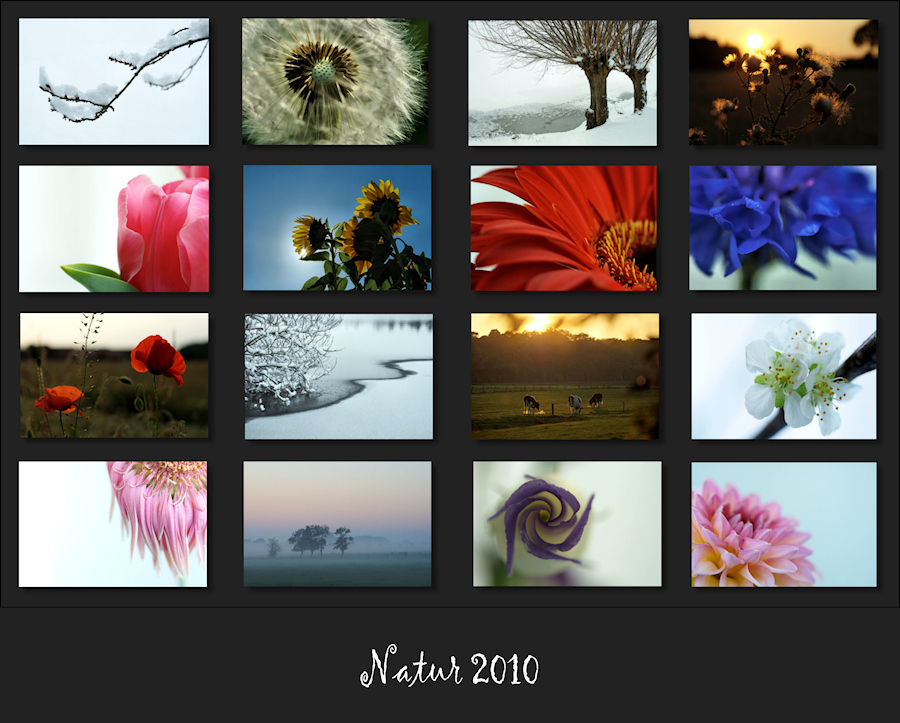 Natur 2010