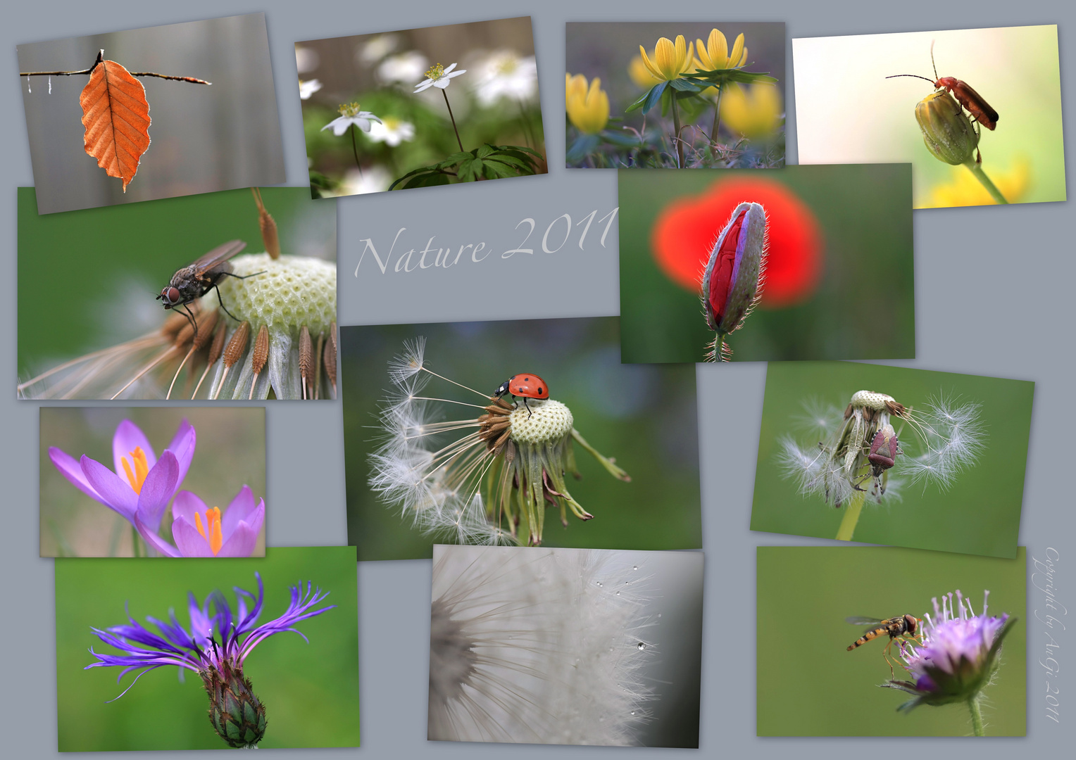 Natur 2011