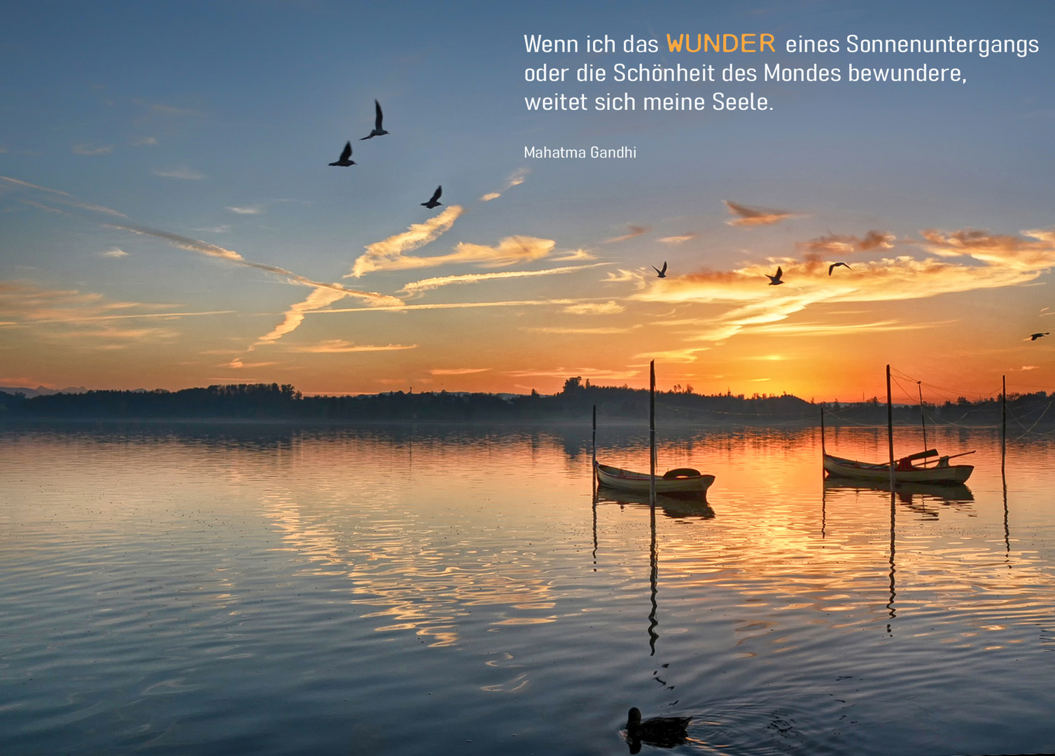 Natur 28 Foto & Bild gedicht, spiegelung, spruch Bilder auf