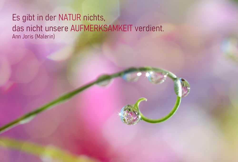 Natur 29 Foto & Bild gedicht, spiegelung, spruch Bilder auf