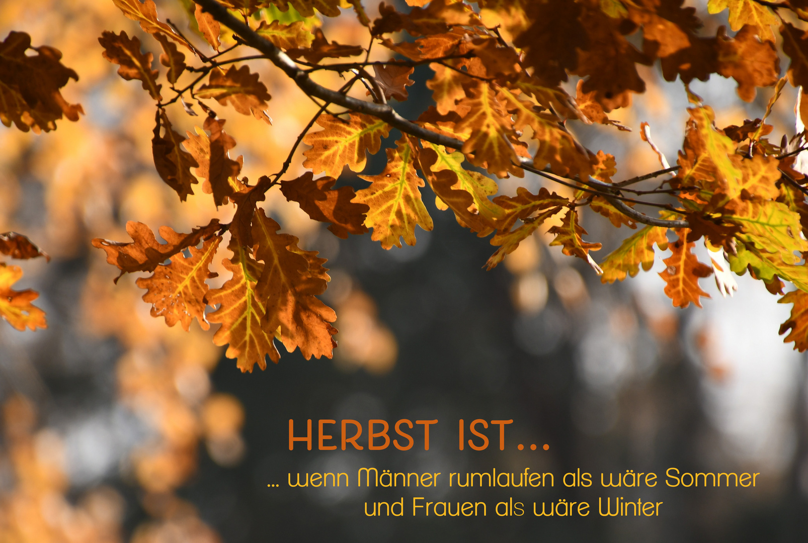 Natur 36 Foto & Bild natur, herbst, spruch Bilder auf