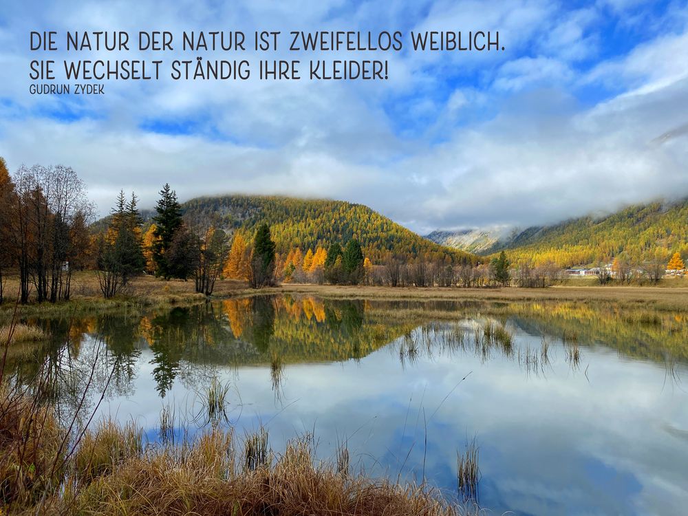Natur 37 Foto & Bild herbst, spiegelung, spruch Bilder auf