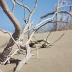 natur