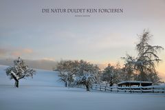 Natur 5