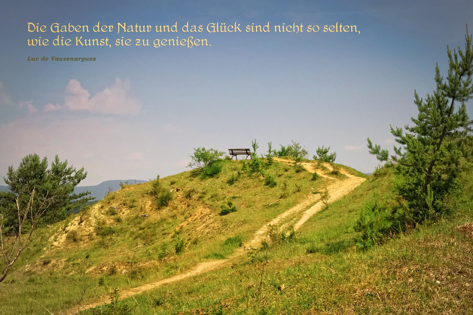 Natur 5