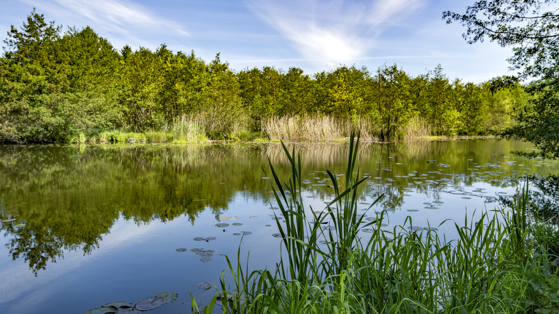 Natur Foto Bild landschaften wasser brandenburg Natur Foto Bild landschaften wasser brandenburg