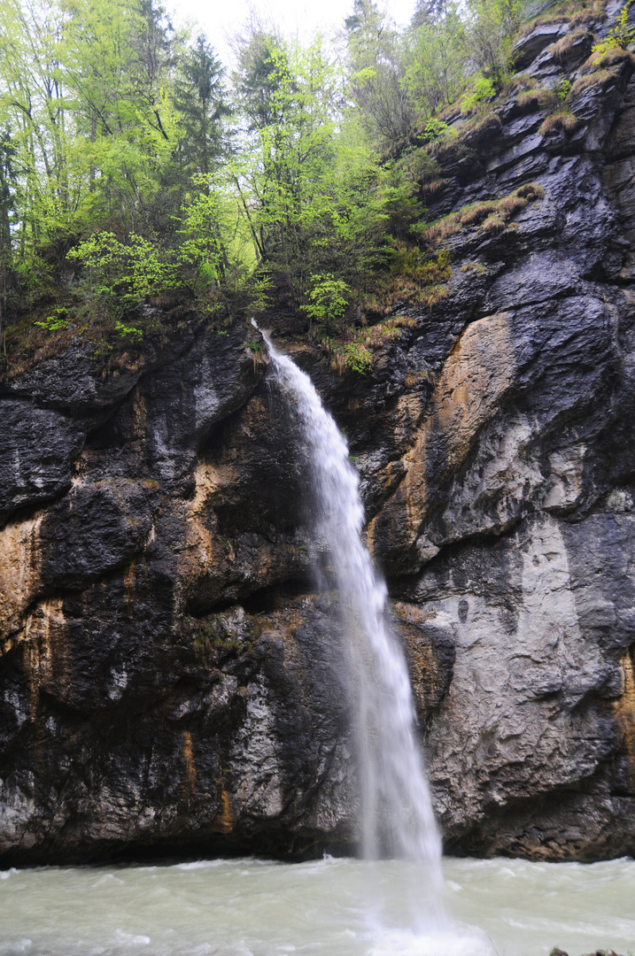 Natur - Aareschlucht