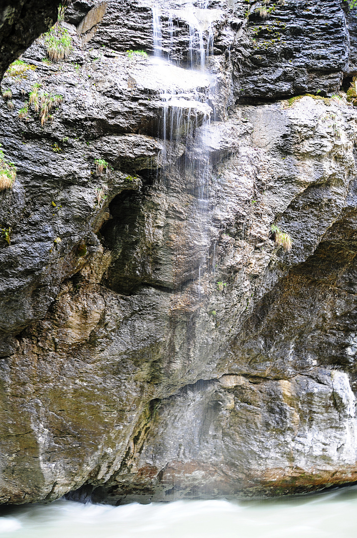 Natur - Aareschlucht