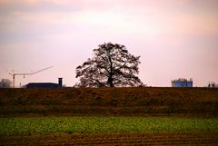 NATUR - AGRAR - UND INDUSTRIE