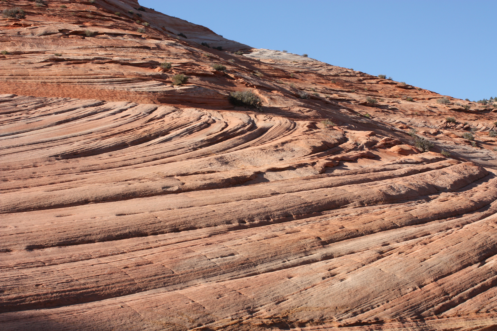 Natur als Architekt