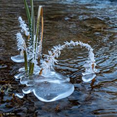 Natur als Künstler