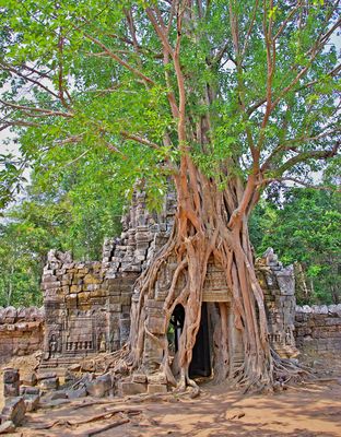 Natur als Schmuck oder Zerstörer