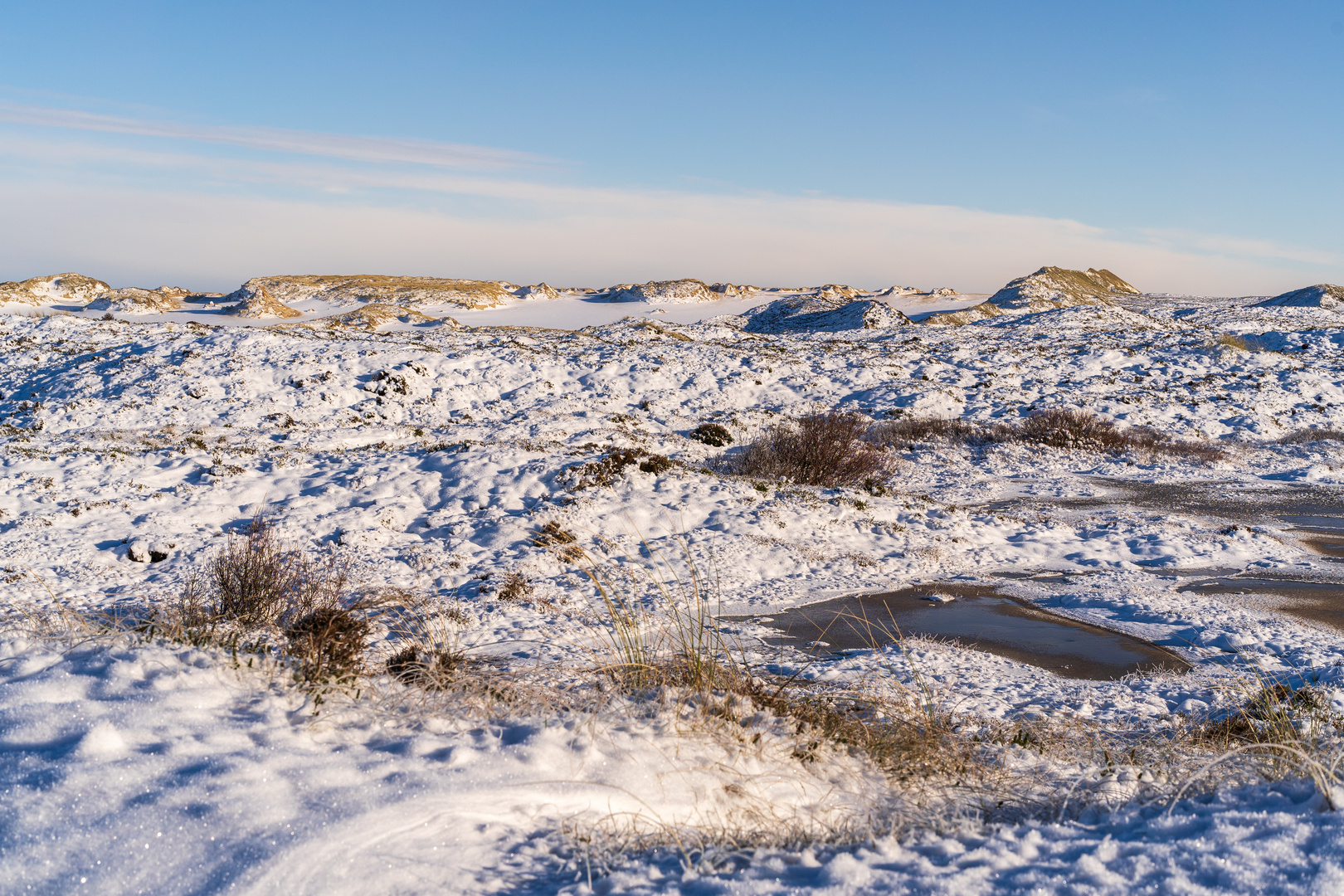 Natur am Ellenbogen/Sylt