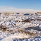 Natur am Ellenbogen/Sylt