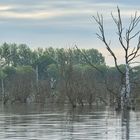 Natur am Galenbecker See