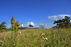 Natur  am Leuchtturm  