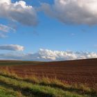 Natur am Radweg.