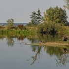 Natur am Radweg