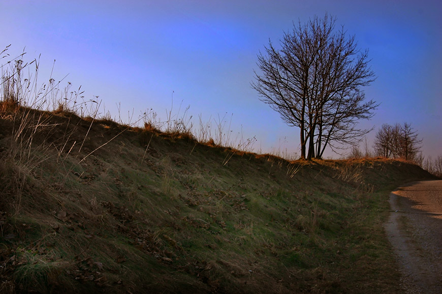 Natur am Rangierbahnhof