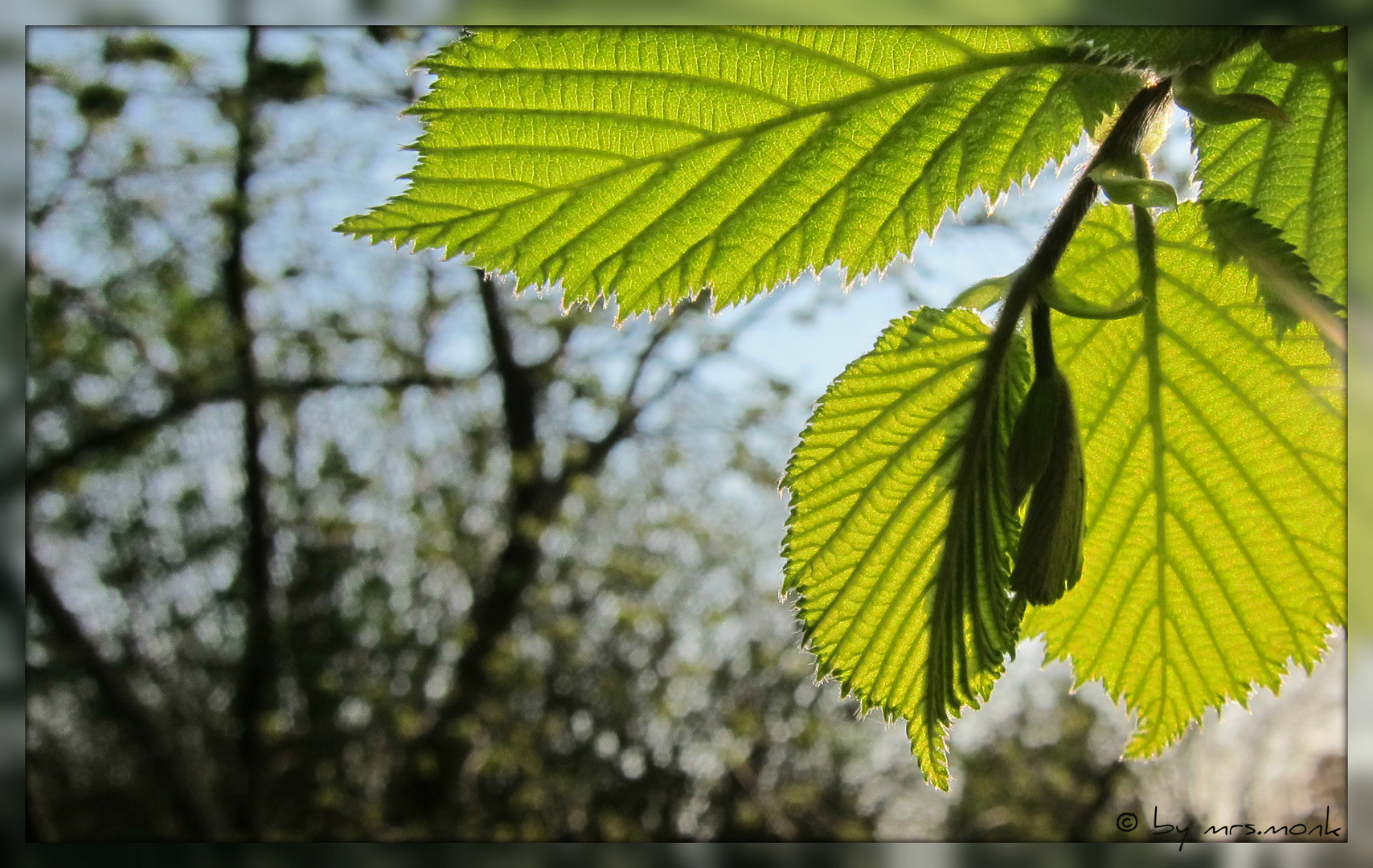 natur am start - tag am ende