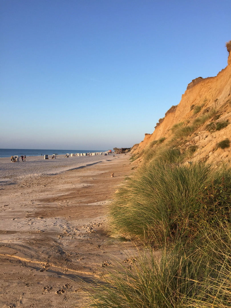 Natur am Strand