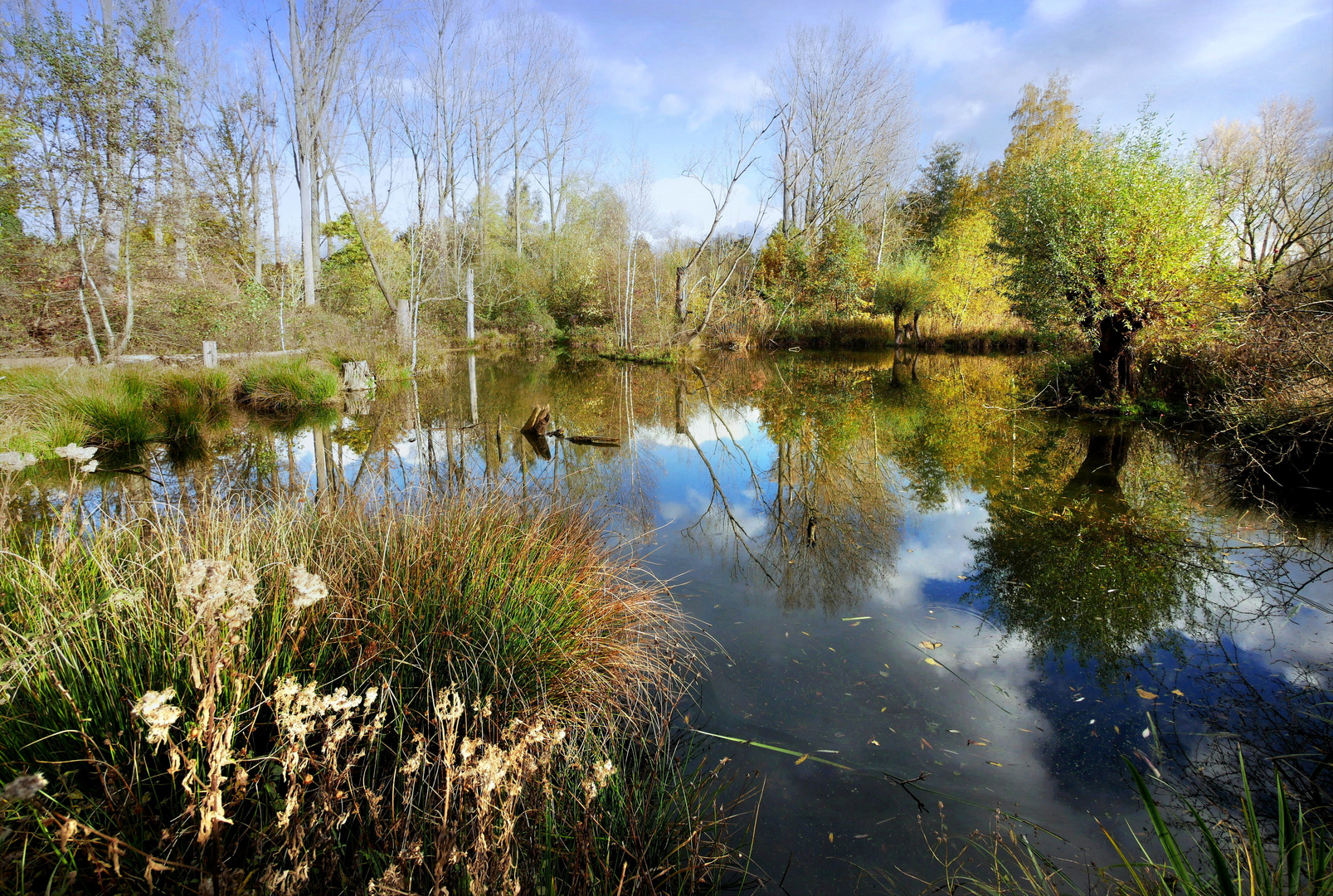 Natur am Wasser