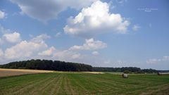 "Natur an der B465 zwischen Altsteußlingen und Münsingen 11"