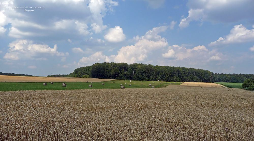 "Natur an der B465 zwischen Altsteußlingen und Münsingen 12"