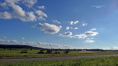 "Natur an der B465 zwischen Altsteußlingen und Münsingen 14"