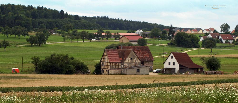 "Natur an der B465 zwischen Altsteußlingen und Münsingen 15"