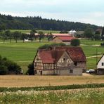 "Natur an der B465 zwischen Altsteußlingen und Münsingen 15"