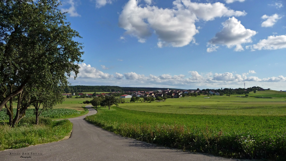 "Natur an der B465 zwischen Altsteußlingen und Münsingen 18"