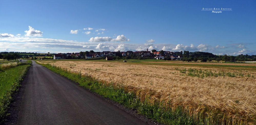 "Natur an der B465 zwischen Altsteußlingen und Münsingen 19"