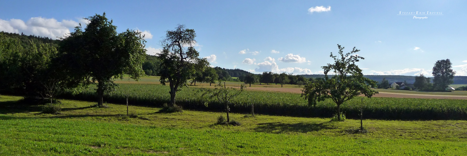 "Natur an der B465 zwischen Altsteußlingen und Münsingen 2"