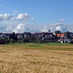 "Natur an der B465 zwischen Altsteußlingen und Münsingen 21"